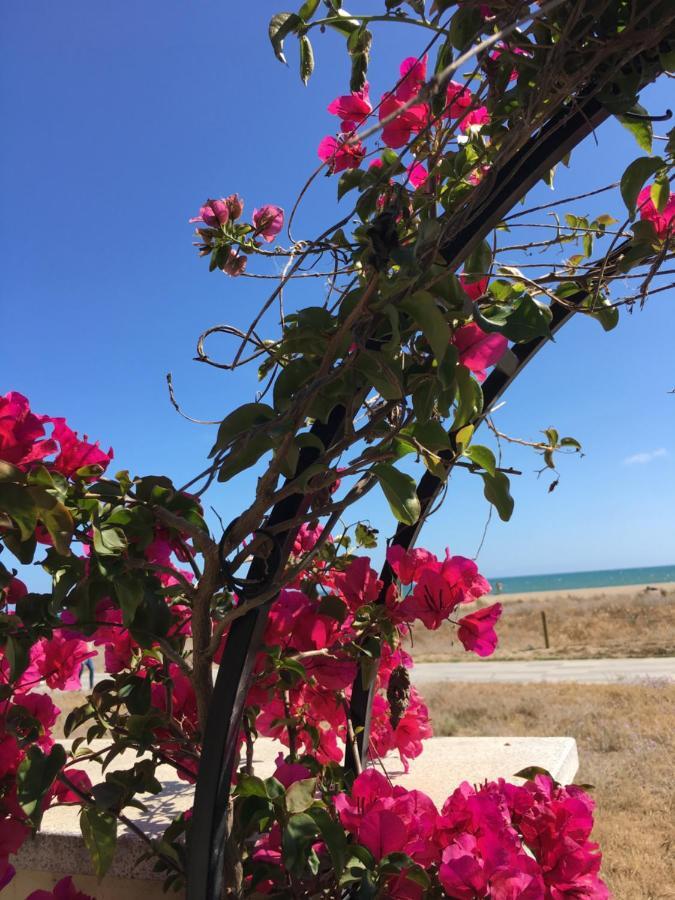 Beach Flat With Garden 카스테데펠스 외부 사진